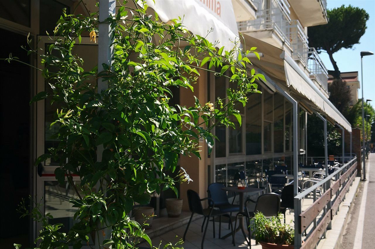 Hotel Gemma Rimini Exteriér fotografie